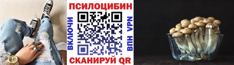 Псилоцибиновые грибы прущие грибы  mega сайт  Орехово-Зуево  купить наркотик 